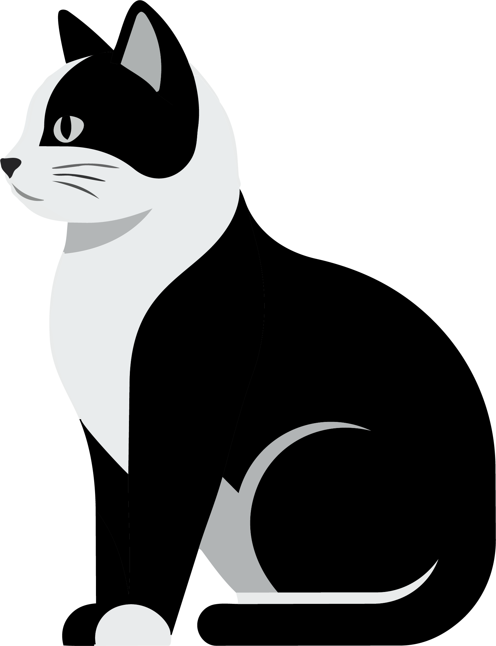 猫